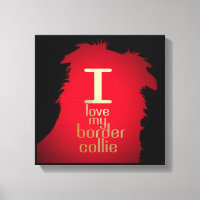 ME ENCANTA MI COLIE FRONTERIZA