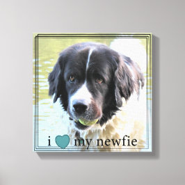 Lienzo Me encanta mi frontera negra de Newfie Newfoundlan