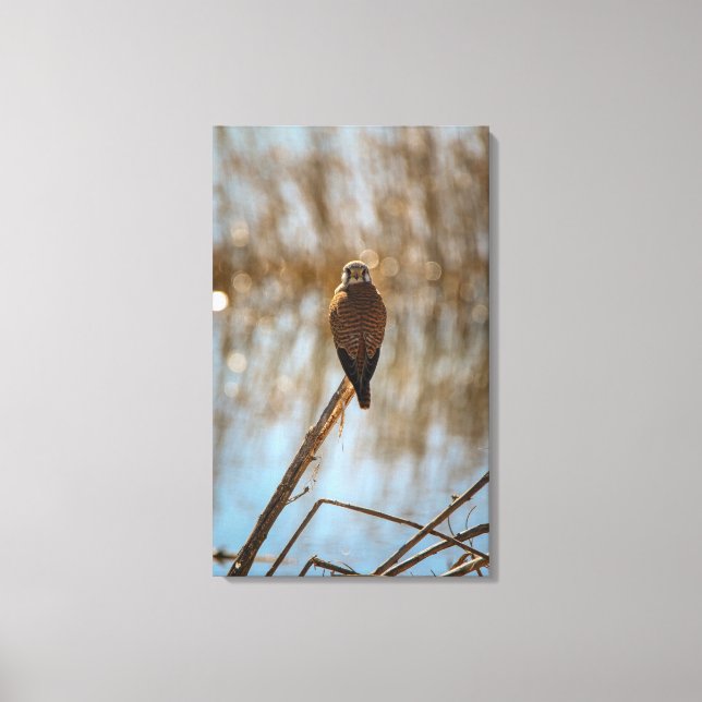 Lienzo ¿Me miras? (Anverso)