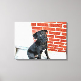 Lienzo Medianoche en un estado de ánimo pensativo