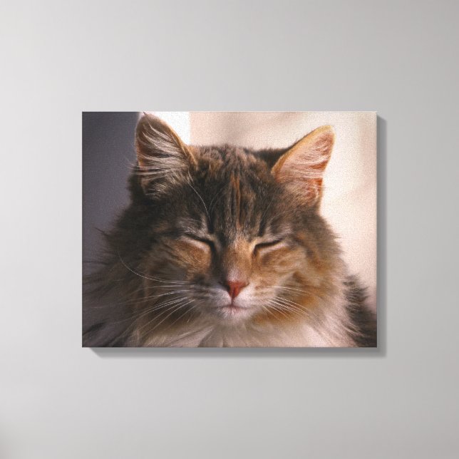 Lienzo Medición de la tarde del gato (Anverso)
