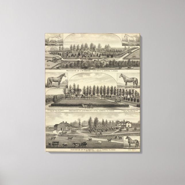 Lienzo Medios, trucha y sabins en Kansas (Anverso)