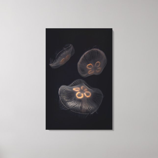 Lienzo Medusas Lunares Nadando (Anverso)