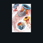 Lienzo Medusas Vintage de Ernst Haeckel, Discomedusae<br><div class="desc">Ilustración vintage de la biología de la vida marina por Ernst Haeckel. Una variedad de animales de medusas coloridas nadando en las aguas del mar. Las medusas son animales acuáticos que nadan libremente con un cuerpo en forma de paraguas y largos tentáculos colgantes. Se pueden encontrar en todos los océanos...</div>