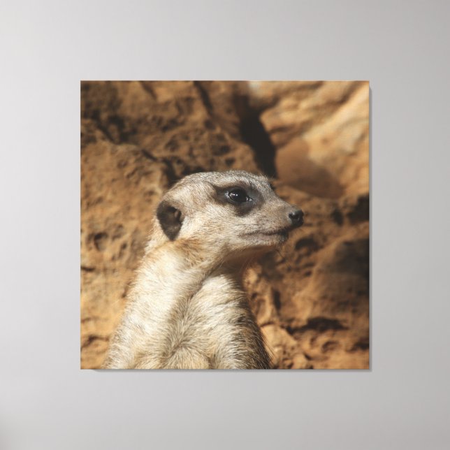 Lienzo Meerkat 029 (Anverso)