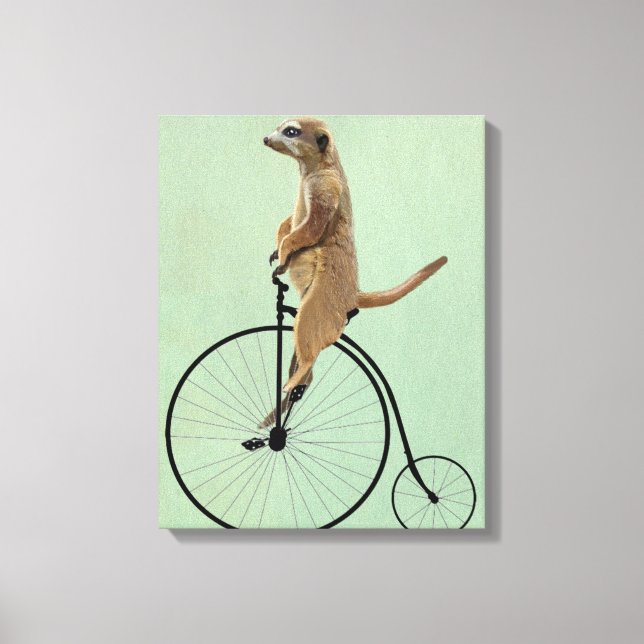 Lienzo Meerkat en Black Penny Farthing (Anverso)