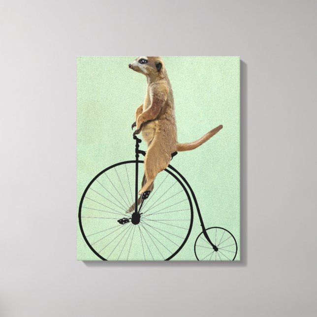 Lienzo Meerkat en Black Penny Farthing (Anverso)