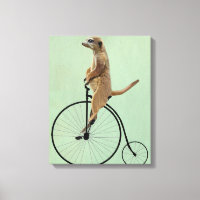 Meerkat en Black Penny Farthing