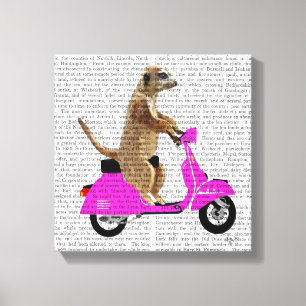 Lienzo Meerkat en rosa amopado