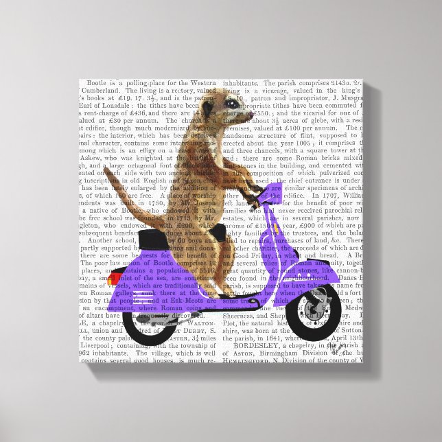 Lienzo Meerkat sobre Lilac Moped (Anverso)