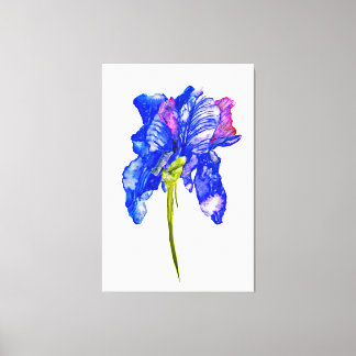 Lienzo Mega Iris