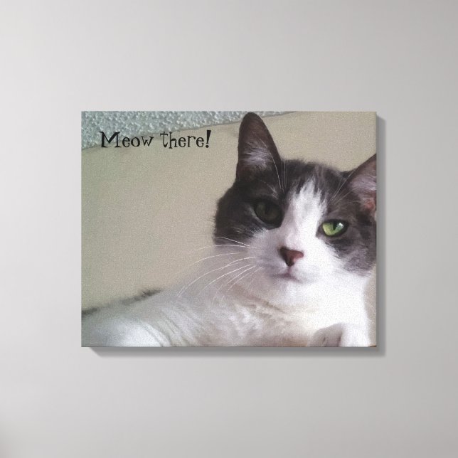 Lienzo Meow ahi Gorgeous Kitty Cat Retrato (Anverso)