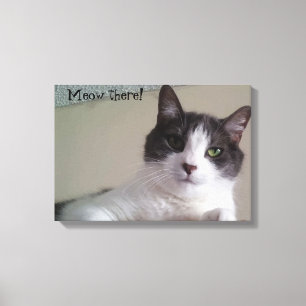 Lienzo Meow ahi Gorgeous Kitty Cat Retrato