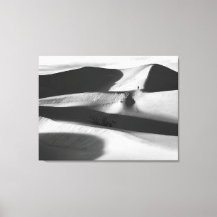 Lienzo Mesquite Sand Dunes