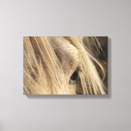 Lienzo Messy Mane