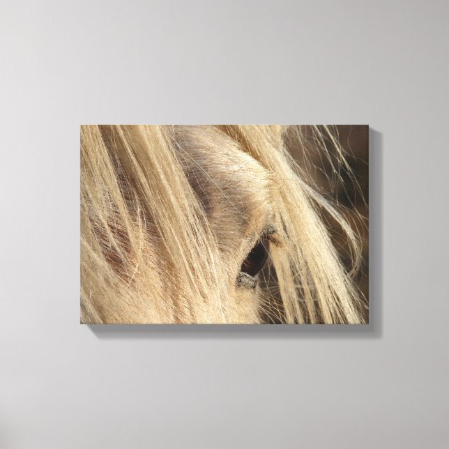Lienzo Messy Mane (Anverso)