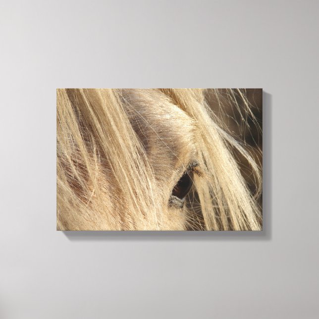 Lienzo Messy Mane (Anverso)