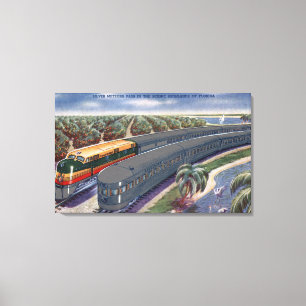 Lienzo Meteoritos de plata "litoral" en las montañas de