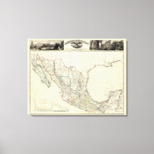 Lienzo México 4