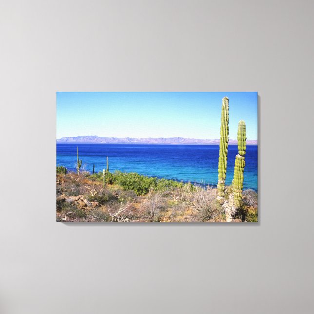 Lienzo México, Baja California Sur, Mulege, Bahia 2 (Anverso)