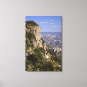 Lienzo México, Estado de Chihuahua, Cañón del Cobre. ESTO