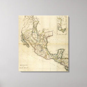 Lienzo México o nueva España