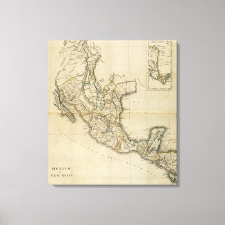 Lienzo México o Nueva España