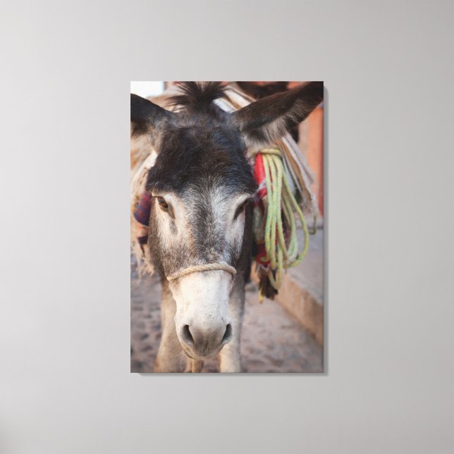 Lienzo México, San Miguel De Allende 2 (Anverso)