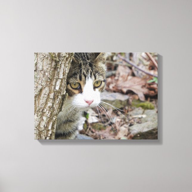 Lienzo Mi gato de caza (Anverso)