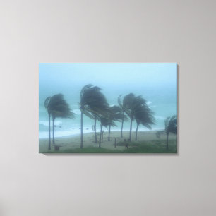 Lienzo Miami Beach, Florida, vientos huracanados azotando