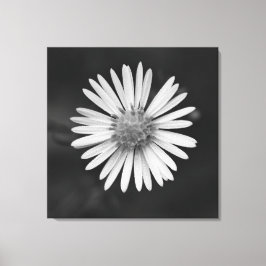 Lienzo Michaelmas Daisy Flower Canvas Print