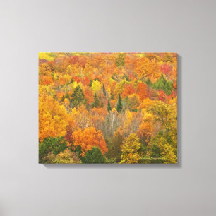 Lienzo "MICHIGAN AGLOW with COLOR"