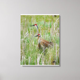 Lienzo Michigan Sandhill Cranes
