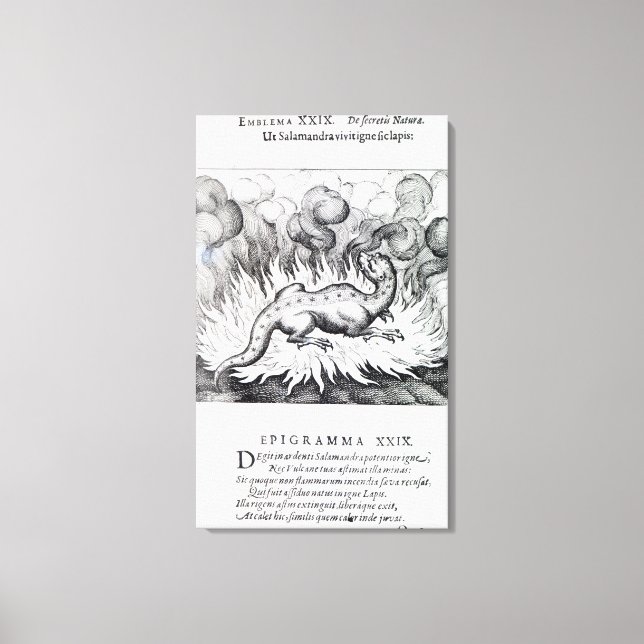 Lienzo Mientras el salamandra vive en llamas (Anverso)