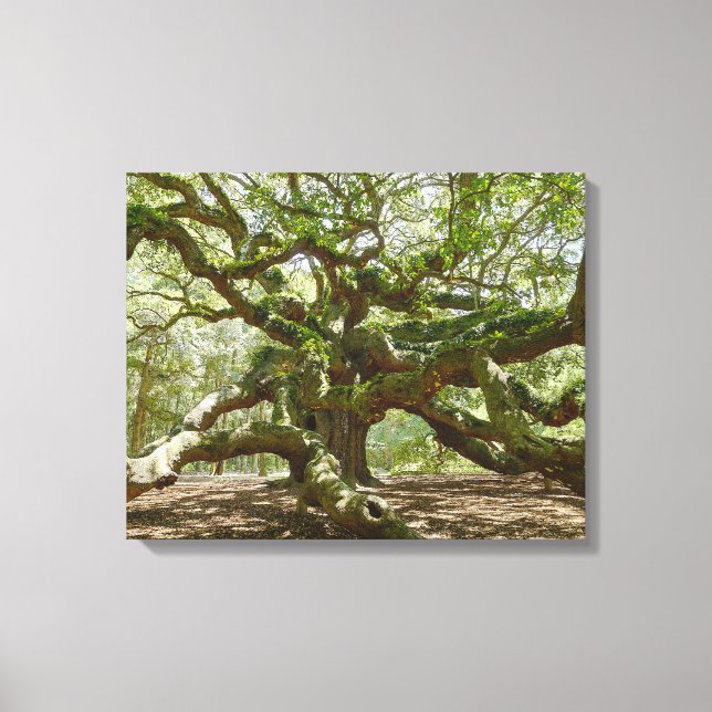 Lienzo Mighty Angel Oak (Anverso)