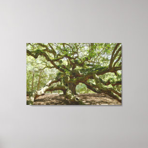 Lienzo Mighty Angel Oak
