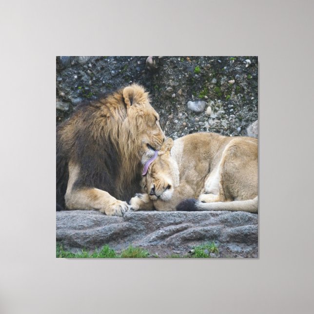 Lienzo Mighty Lion Love (Anverso)