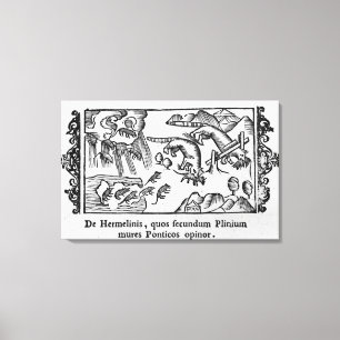 Lienzo Migración de lemings