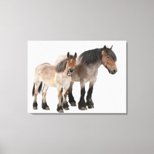 Lienzo Mime y para sonriendo, caballo belga, belga