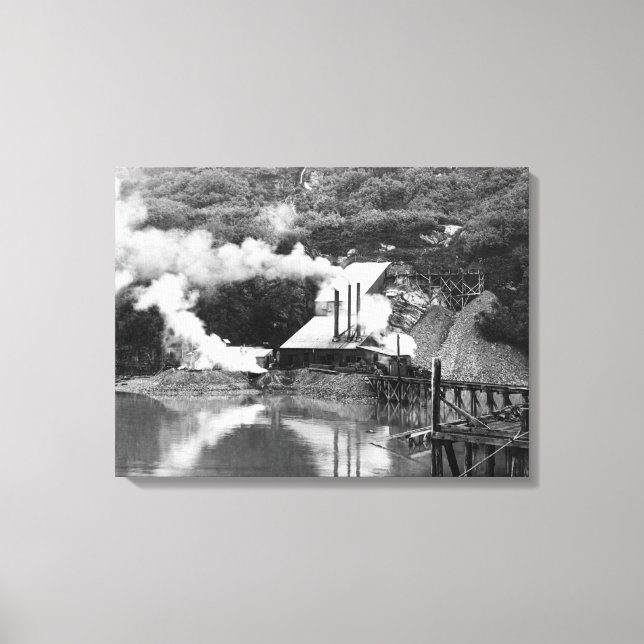 Lienzo Mina de oro en Valdez, Alaska. Fotografía (Anverso)