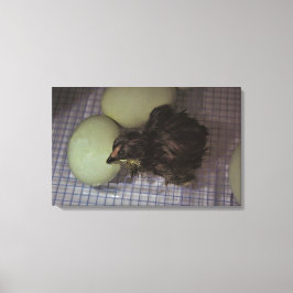 Lienzo Minutos viejos