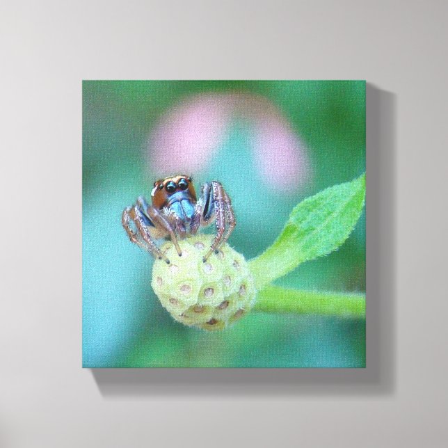 Lienzo ¡Mira esos ojos! (Anverso)