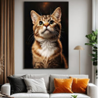 Mirada Felina