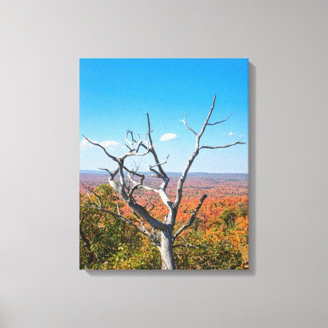 Lienzo Mirador de otoño en Mount Bohemia (Anverso)