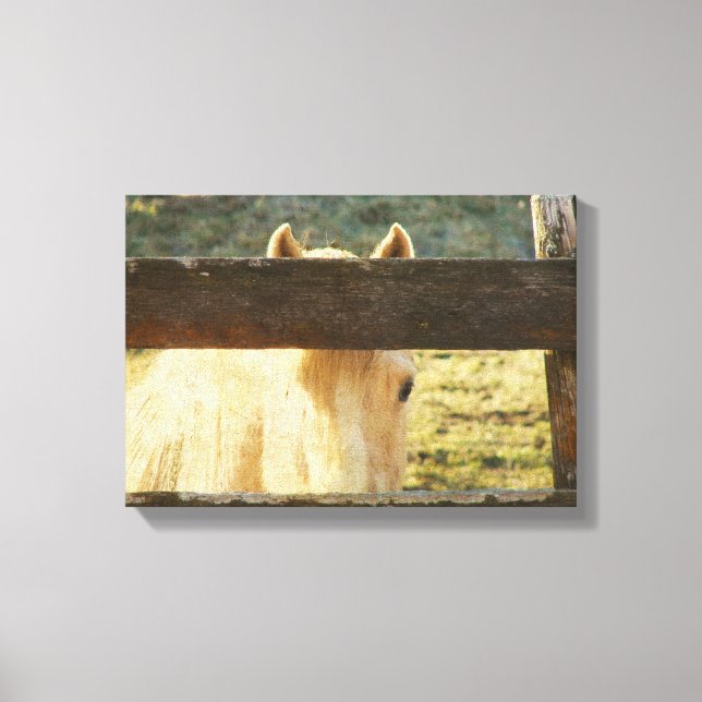 Lienzo Mirando a través de la cerca (Anverso)