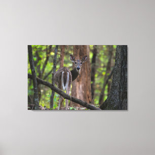 Lienzo Mirando hacia atrás de forma paradisíaca