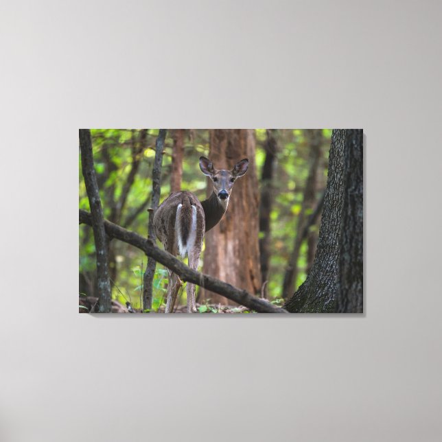 Lienzo Mirando hacia atrás de forma paradisíaca (Anverso)