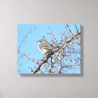 Lienzo Mockingbird