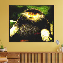 Modelos primarios: douc 01 de shanked rojo