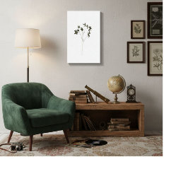 Lienzo Modern minimalist elegant line drawing flowers